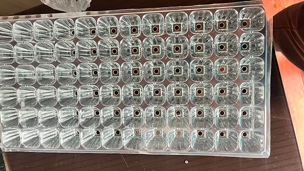 草莓APP下载在线观看育苗盘片材